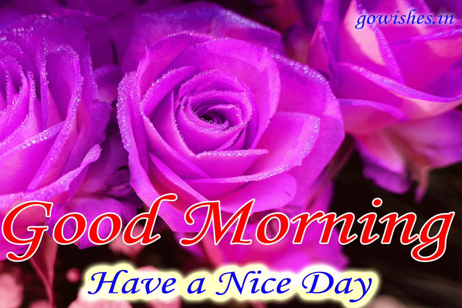 Good Morning Good Night Ka - 1600x1066 Wallpaper Good Morning Good Night Ka - 1600x1066 Wallpaper