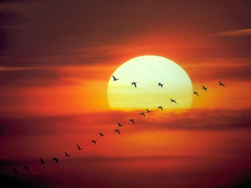 Recurso Natural Luz Del Sol - HD Wallpaper 