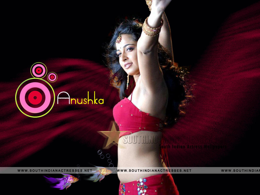 Anushka Shetty - Anushka Shetty Hot Sizzling - HD Wallpaper 