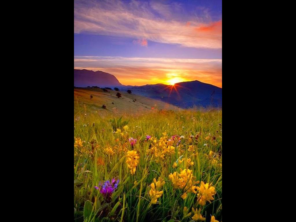 Sunset - HD Wallpaper 