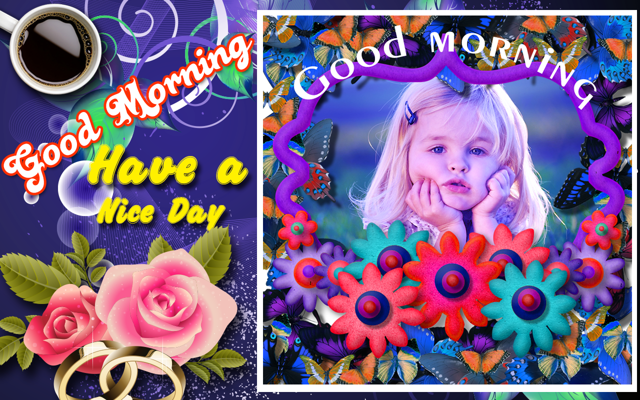 Hybrid Tea Rose - HD Wallpaper 