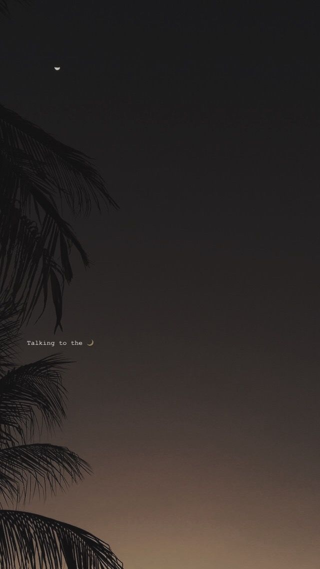 Quotes Halu - HD Wallpaper 