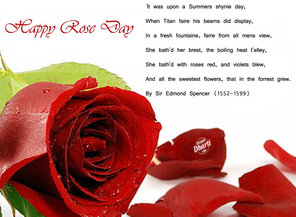 Happy Rose Day - Rose Day Quotes For Husband - HD Wallpaper 