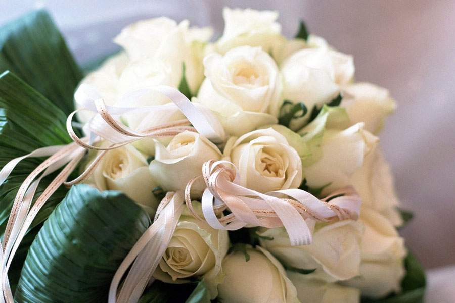 Download Rose Day Whats App Dps, Valentine Wallpapers, - Gimtadienio Sveikinimai 51 - HD Wallpaper 