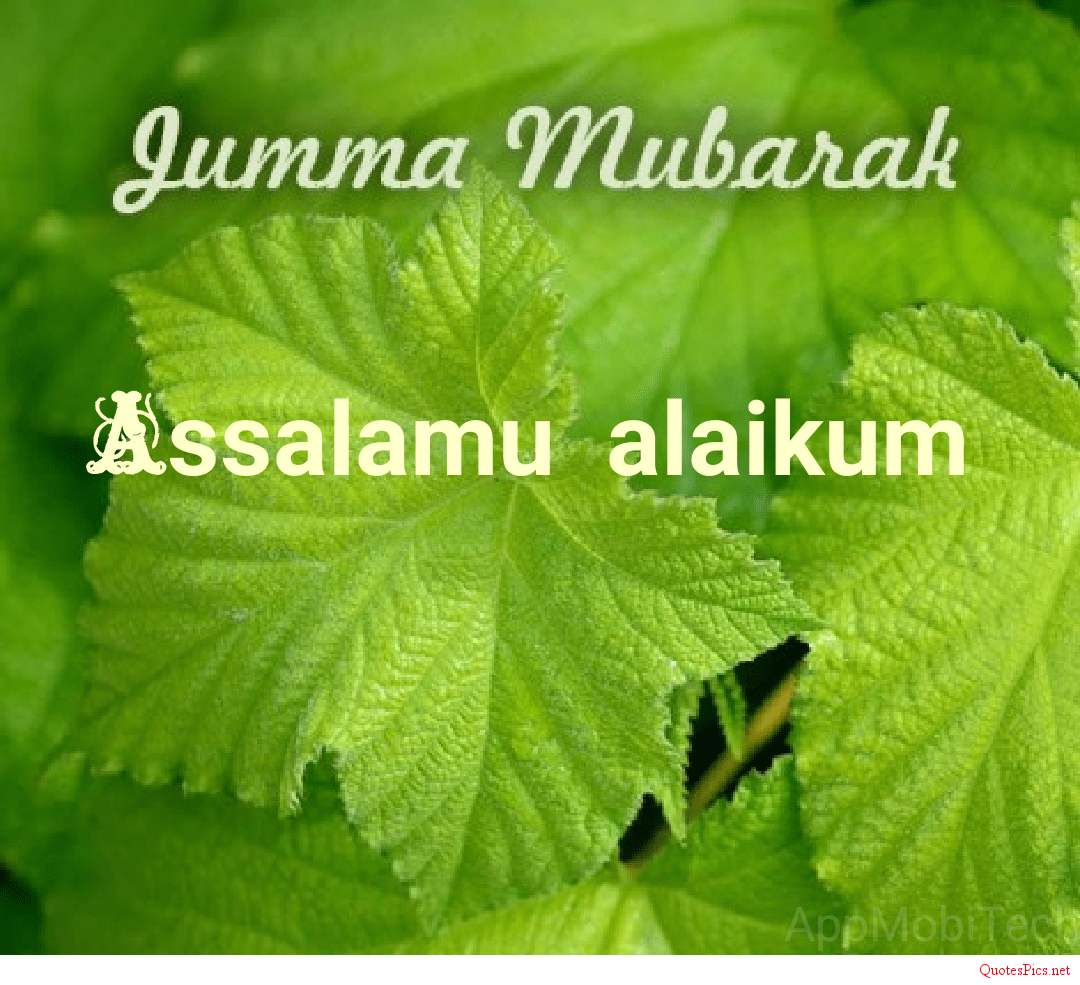 Assalamu Alaikum Jumma Mubarak Quotes - HD Wallpaper 