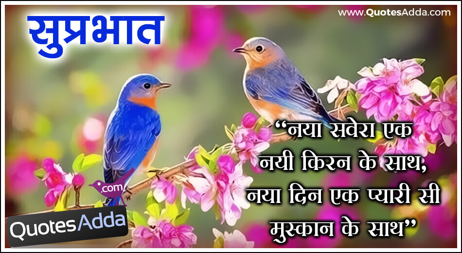 Birds Wallpaper Hd Download - HD Wallpaper 