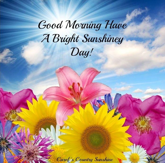 Good Morning 3d Images With Quotes [18] - Good Morning In Jesus - 697x689  Wallpaper 