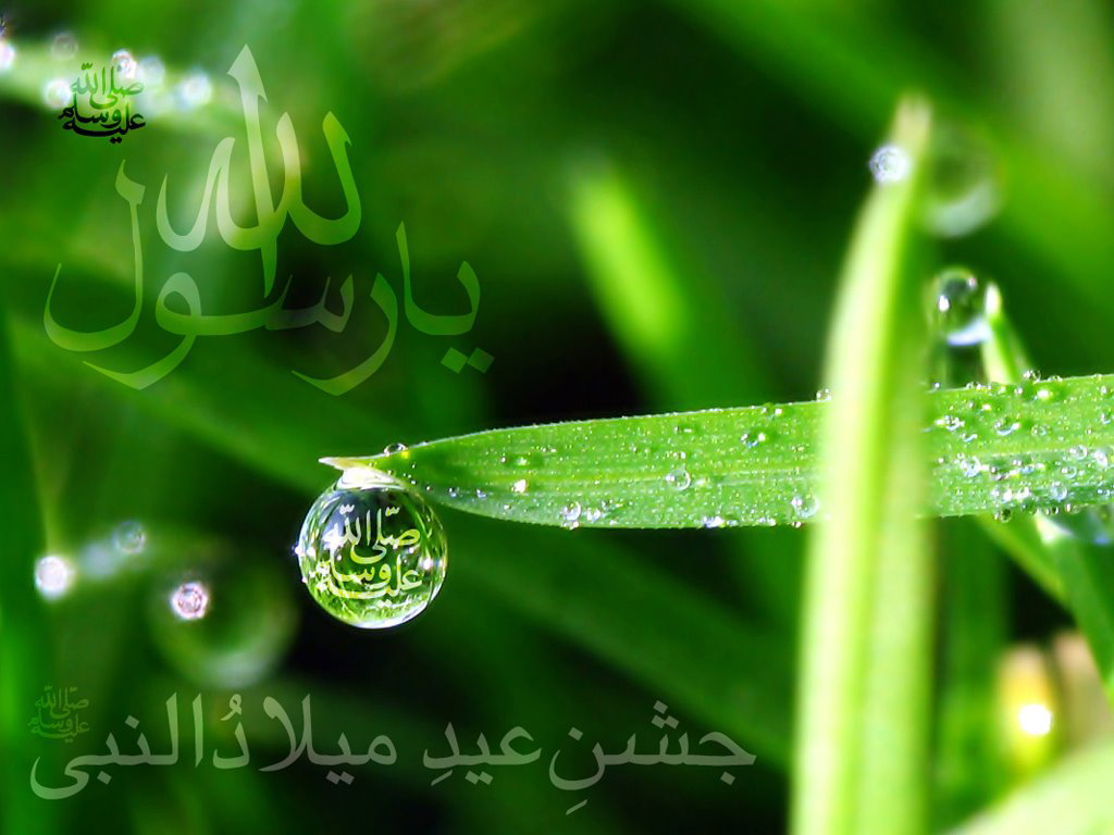 Eid Milad Un Nabi 2011 - HD Wallpaper 