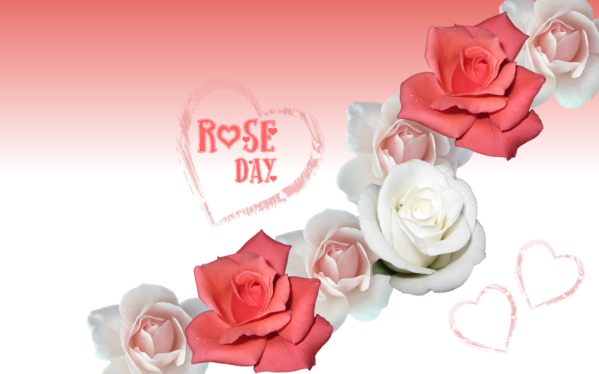 Romantic Rose Flower - HD Wallpaper 