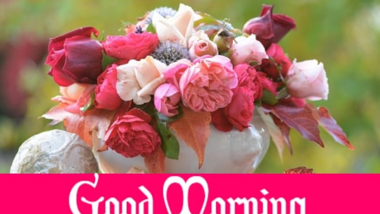 New Dp For Whatsapp - HD Wallpaper 