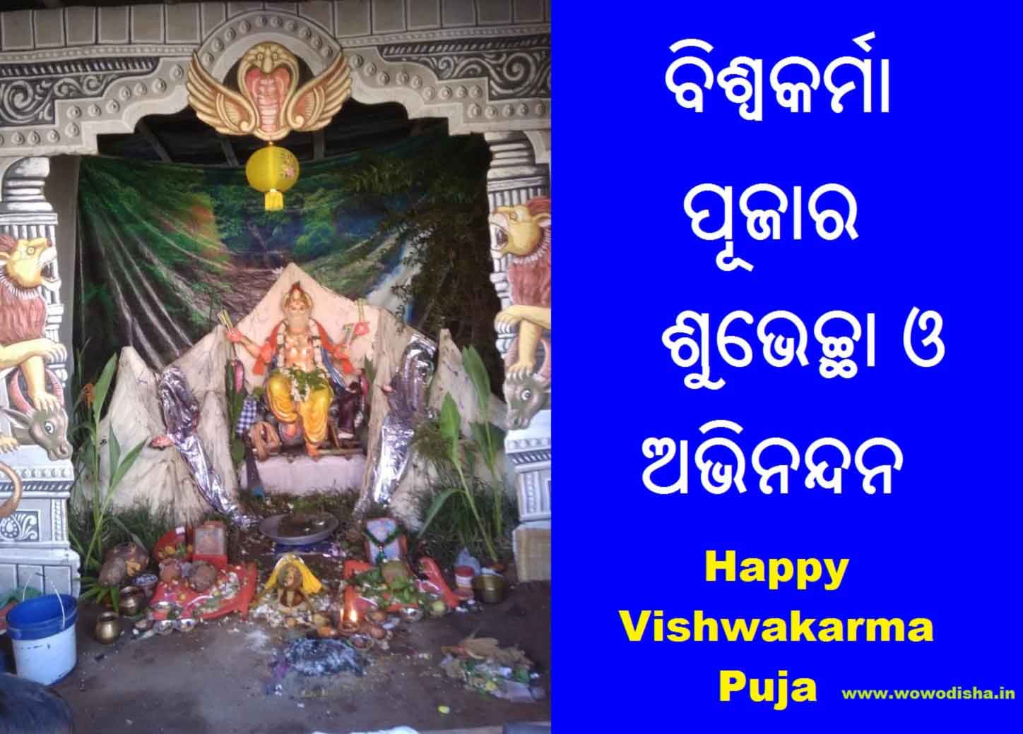 Vishwakarma Puja Images Odia - Not Taunt Happy Fun Cat - HD Wallpaper 