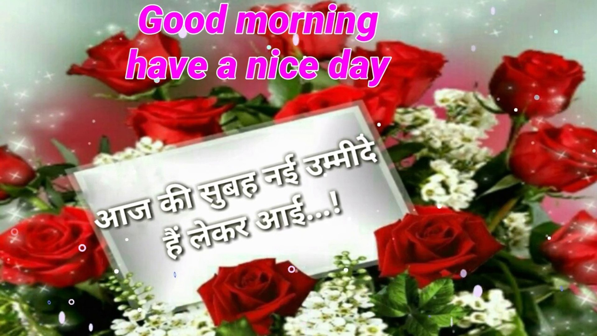 Garden Roses - HD Wallpaper 