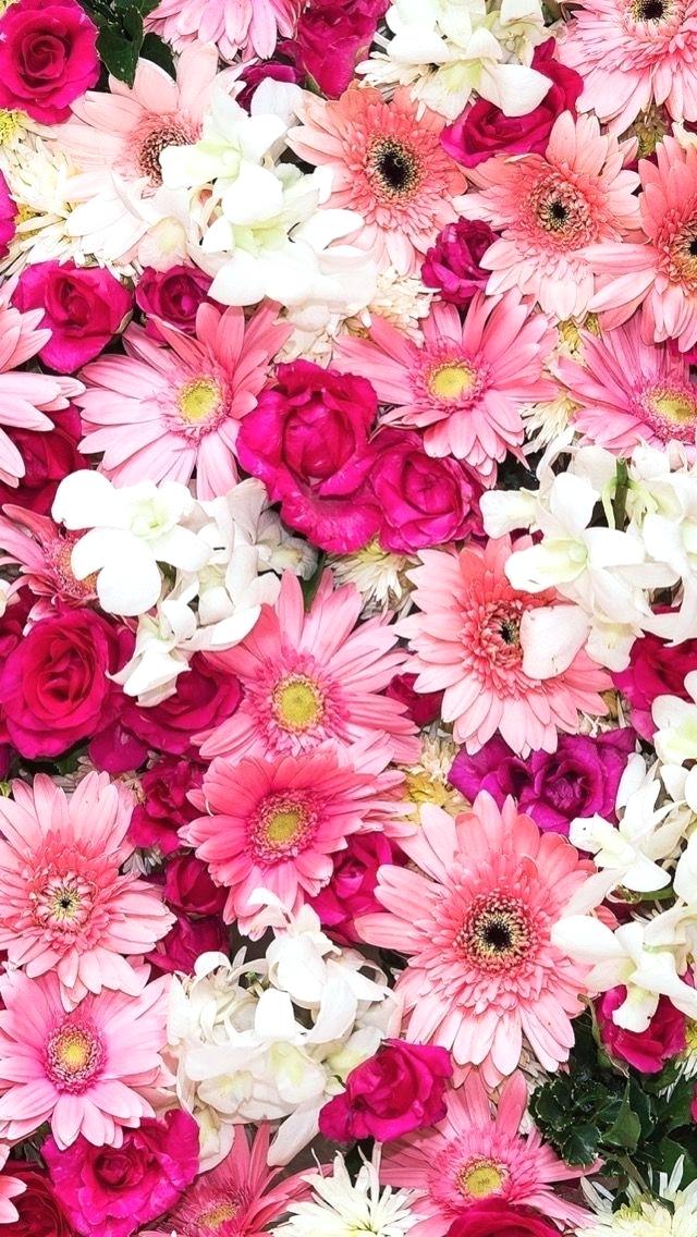 Flowers Iphone Wallpaper Wallpaper Flowers Animated - Iphone Pink Flowers Background - HD Wallpaper 