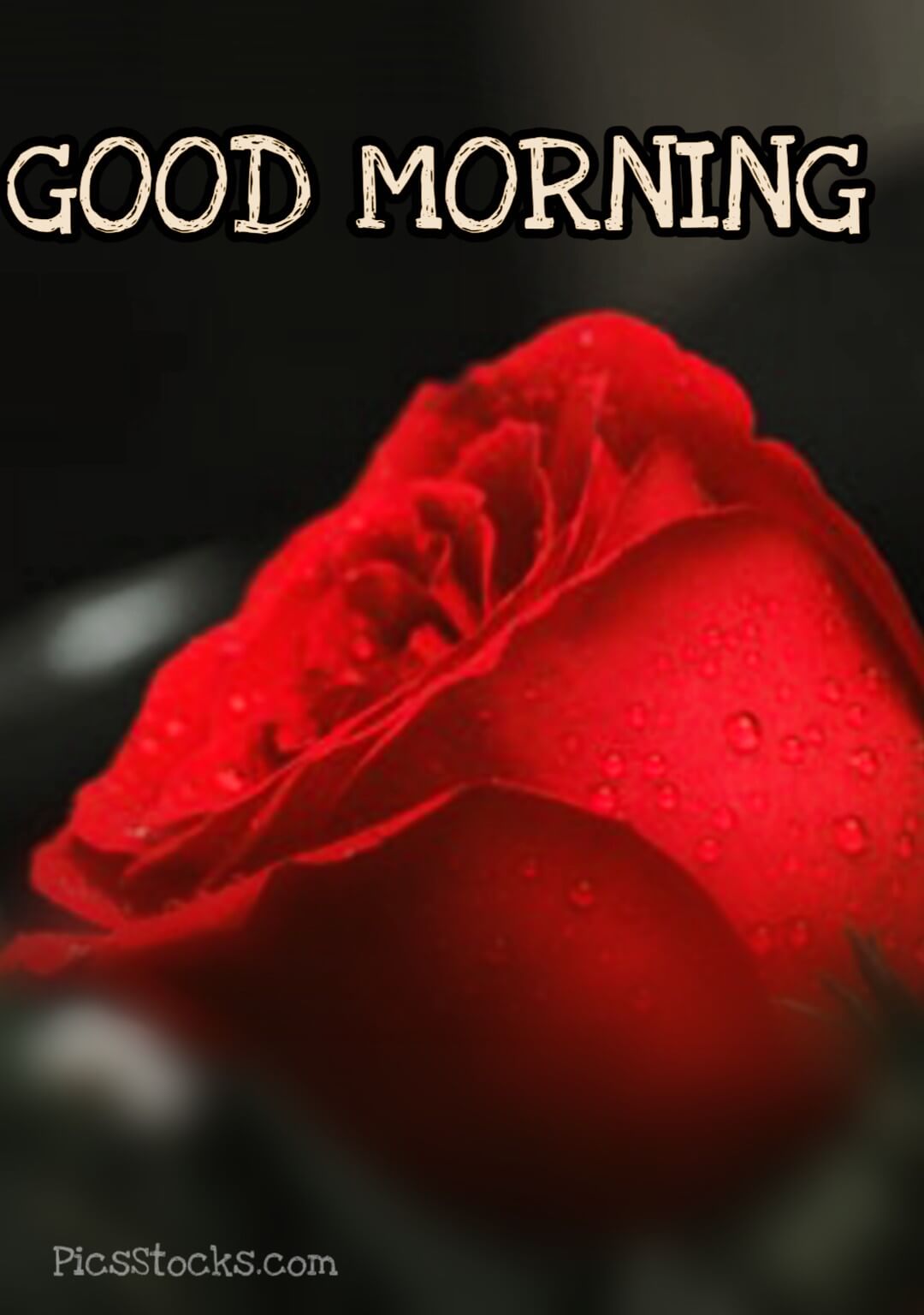 Book Cover - HD Wallpaper 