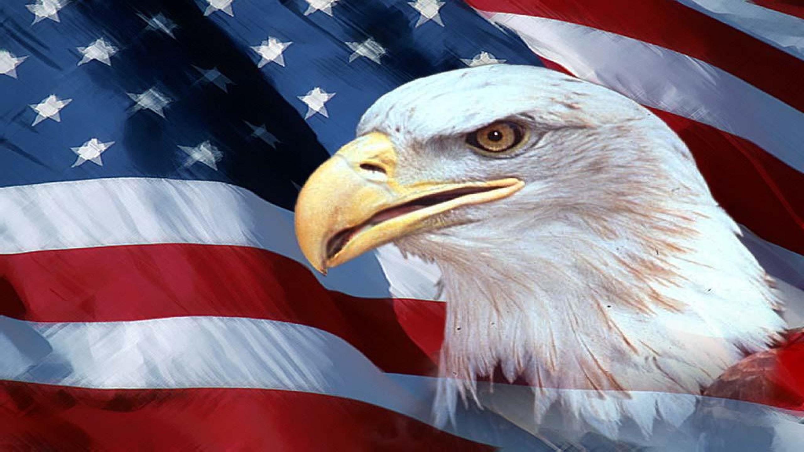American Flag Eagle Background - HD Wallpaper 