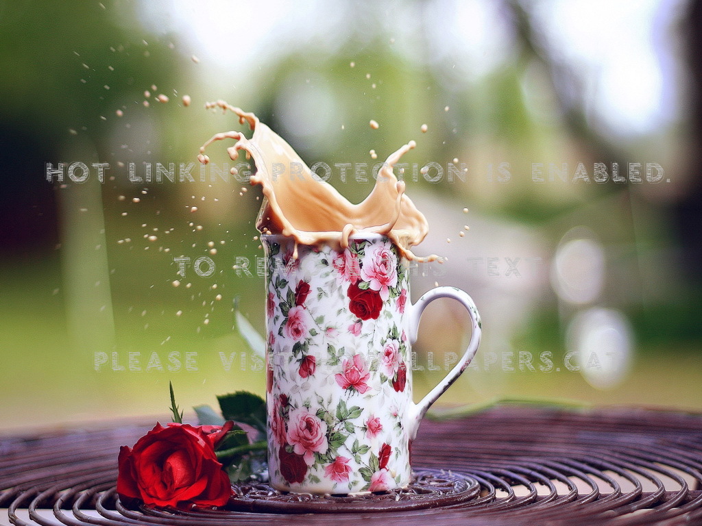 Good Morning Coffe Red Rose Nature Flowers - Прикольные Открытки С Добрым Утром - HD Wallpaper 