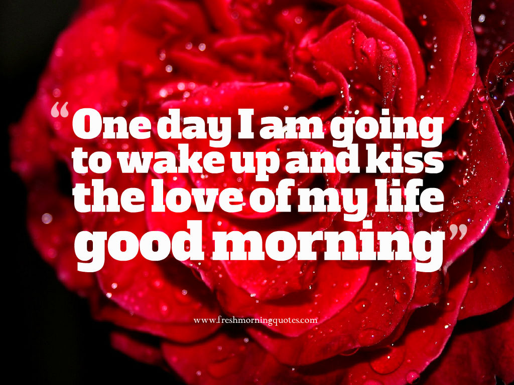 Good Morning Quotes Love With Rose - HD Wallpaper 