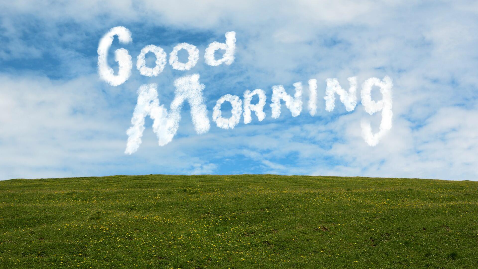 Grass - HD Wallpaper 