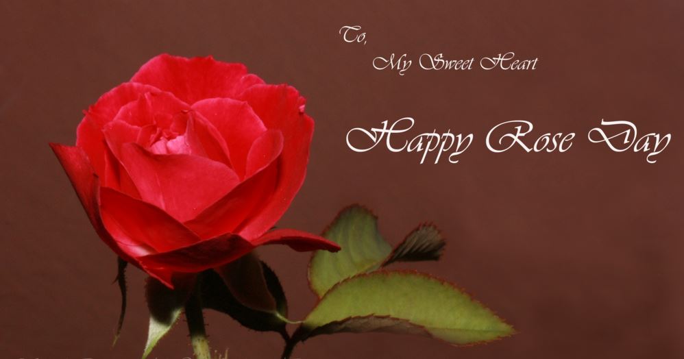 Happy Rose Day Sweet Heart - HD Wallpaper 