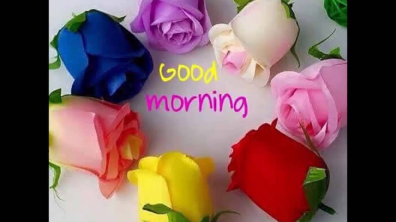 Good Morning 3d Flowers - HD Wallpaper 