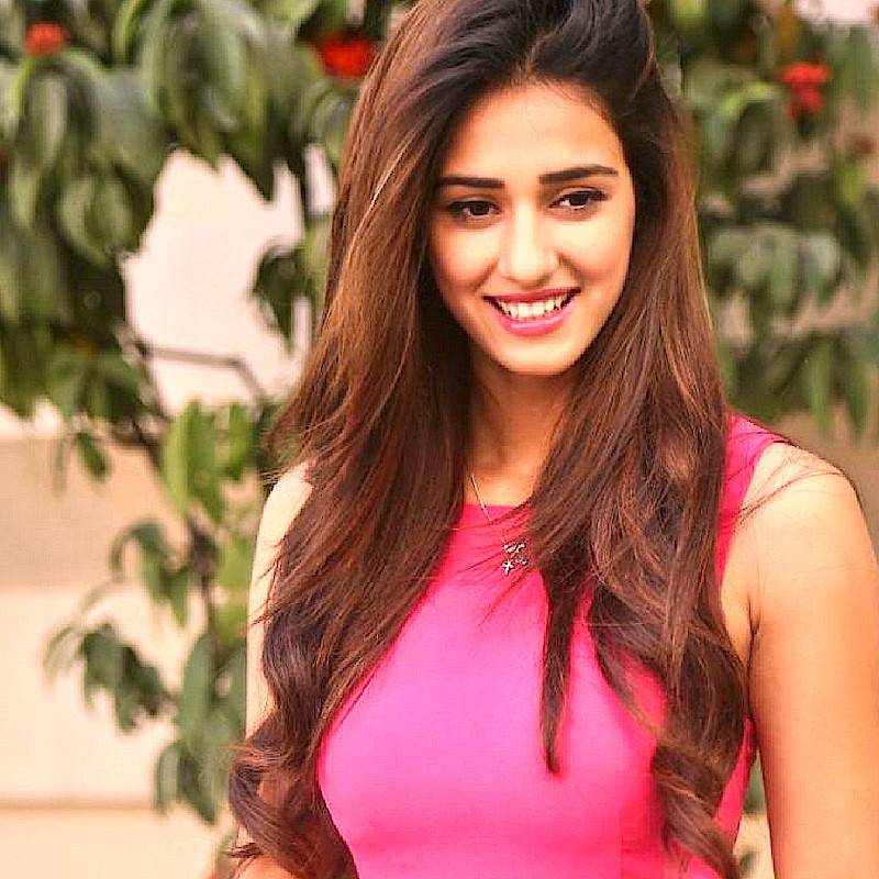 Disha Patani Full Hd Wallpaper - Disha Patani - HD Wallpaper 