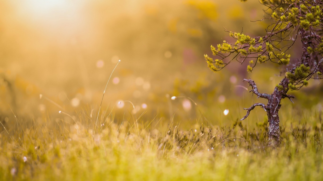 Finn And Jake Wallpaper Phone - HD Wallpaper 