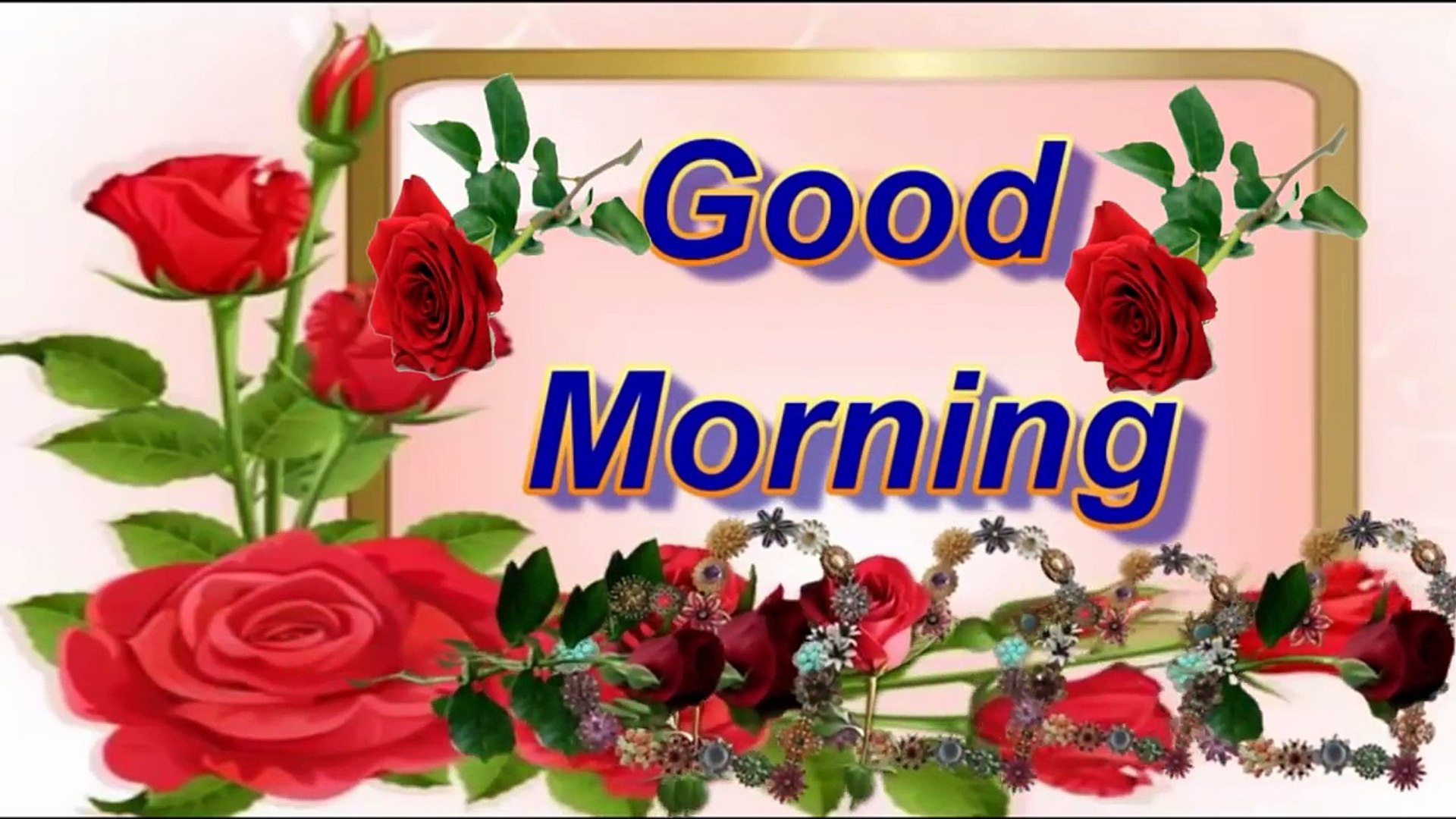 1 August Good Morning - HD Wallpaper 