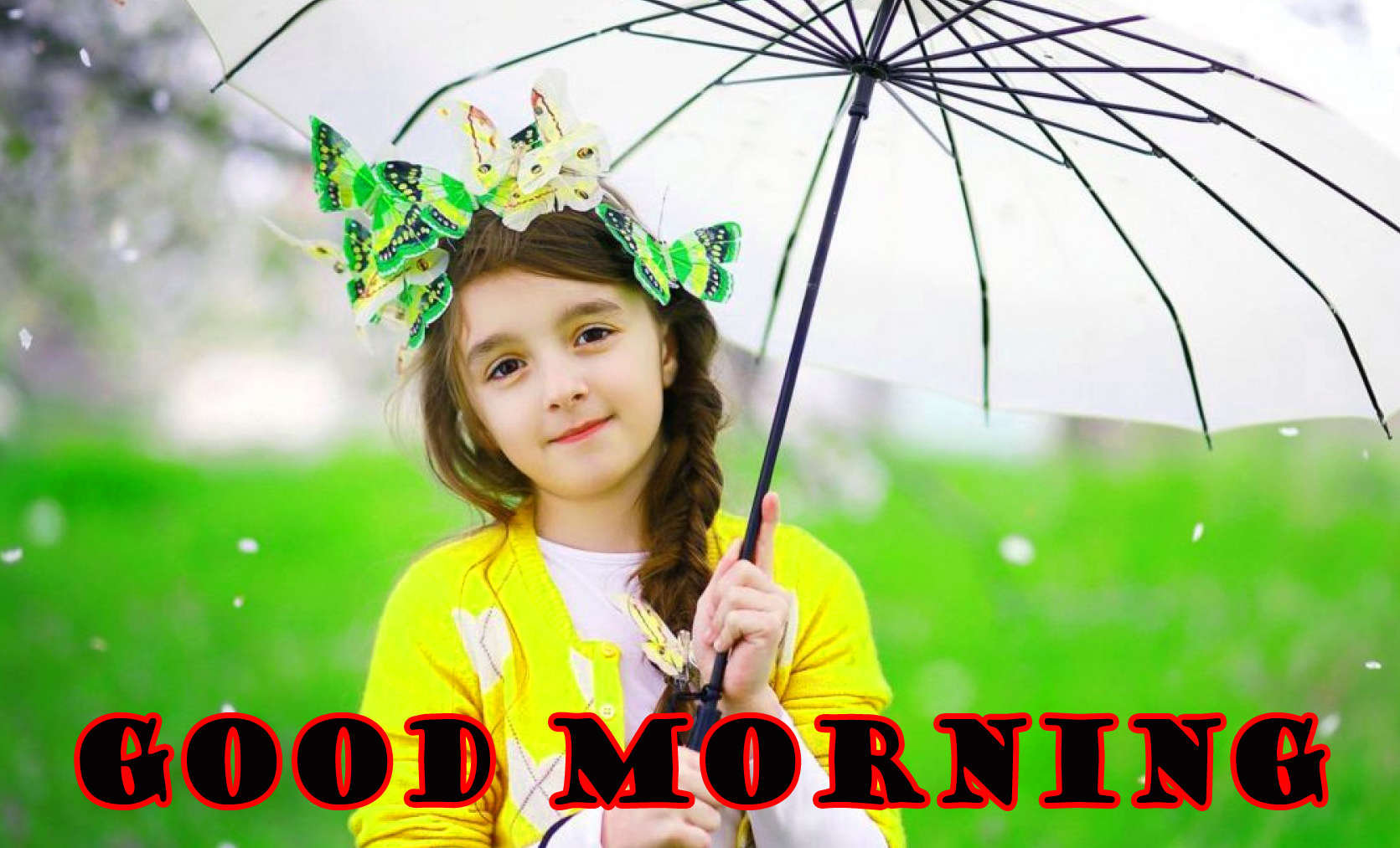 Girls Cute Dp For Whatsapp - HD Wallpaper 