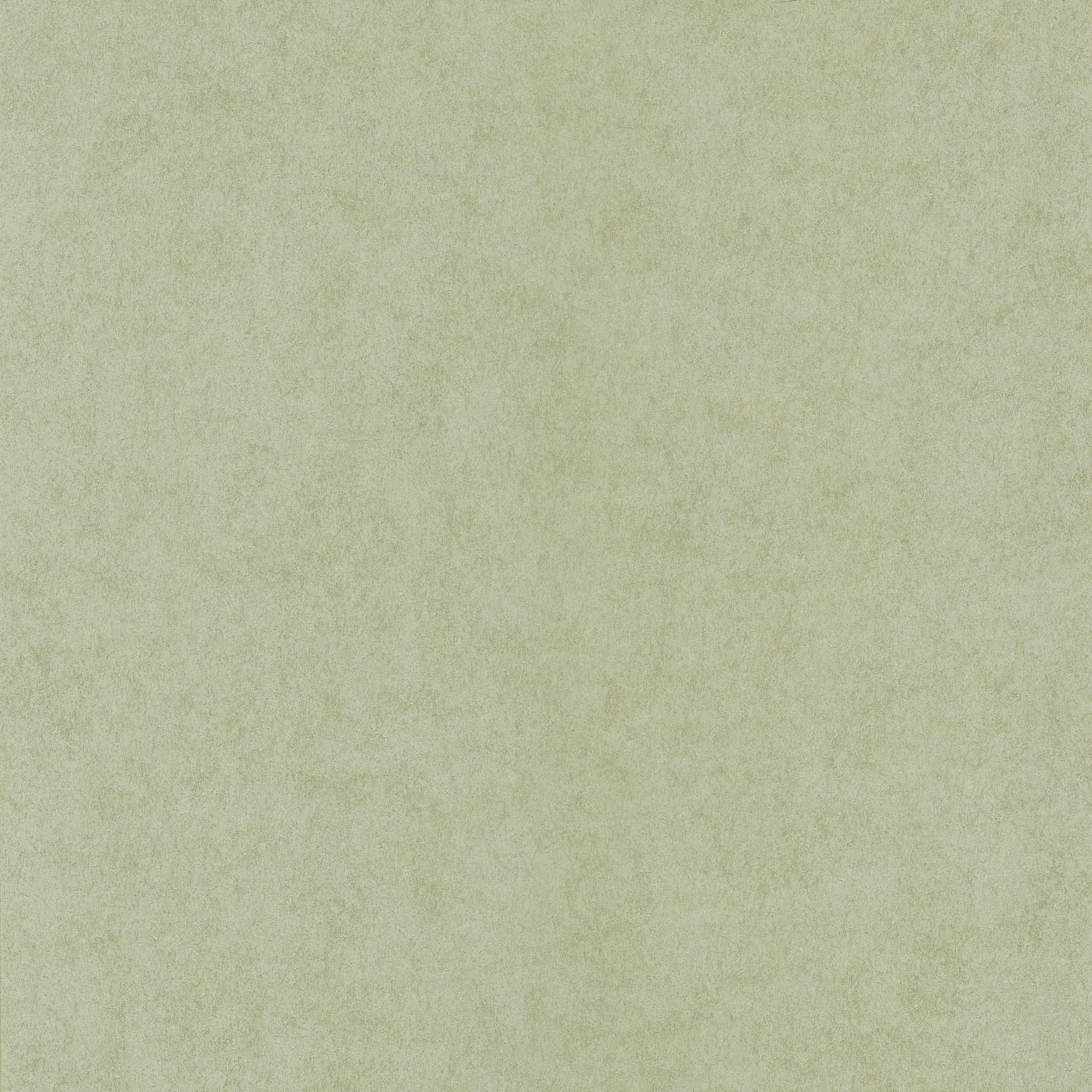 Ivory - HD Wallpaper 