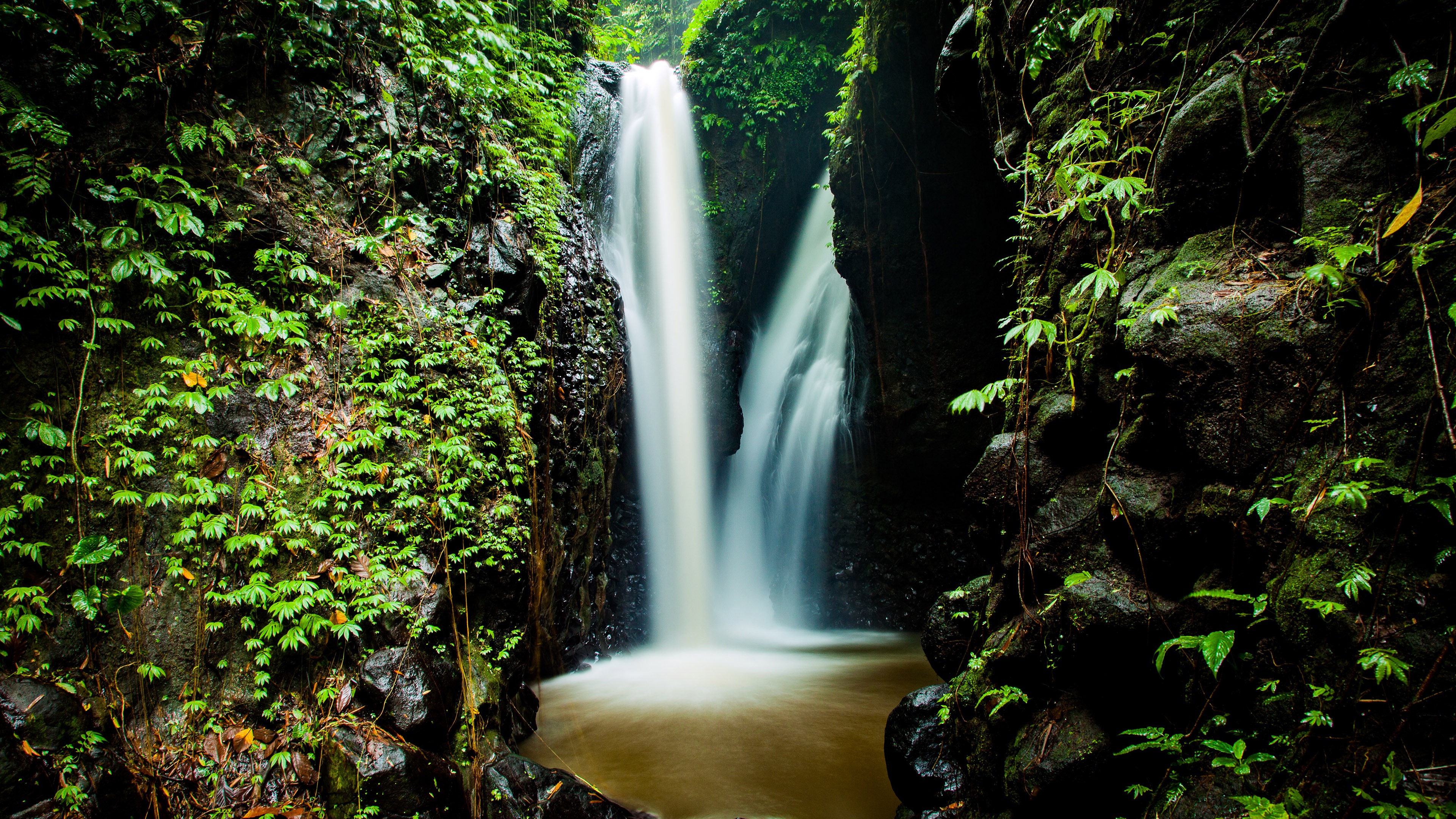 Spring Forest Waterfall Background 4k Wallpaper - Jungle Creative Commons - HD Wallpaper 