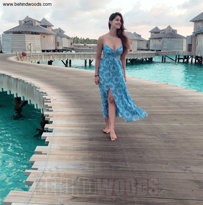 Disha Patani Disha - HD Wallpaper 