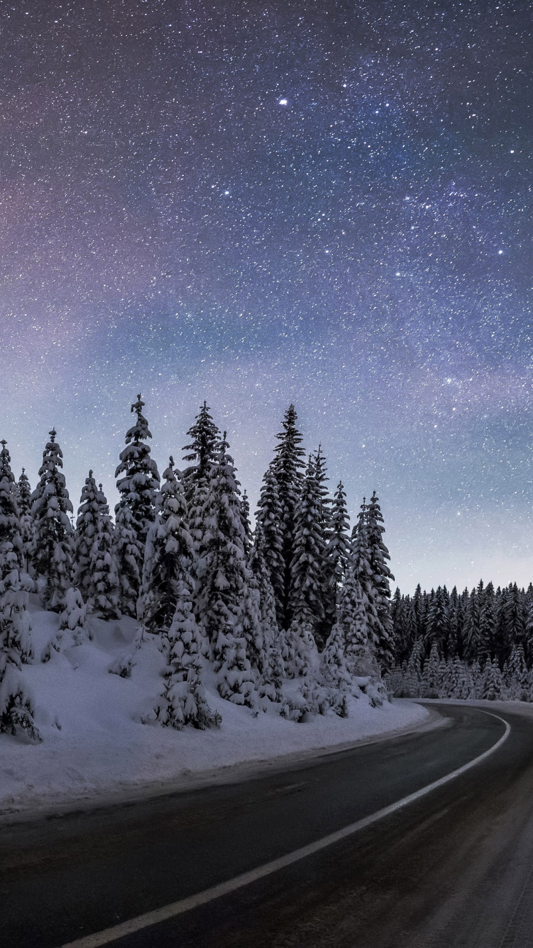 Winter Night At Pokljuka Forest Wallpaper - 4k Wallpapers Winter Night - HD Wallpaper 