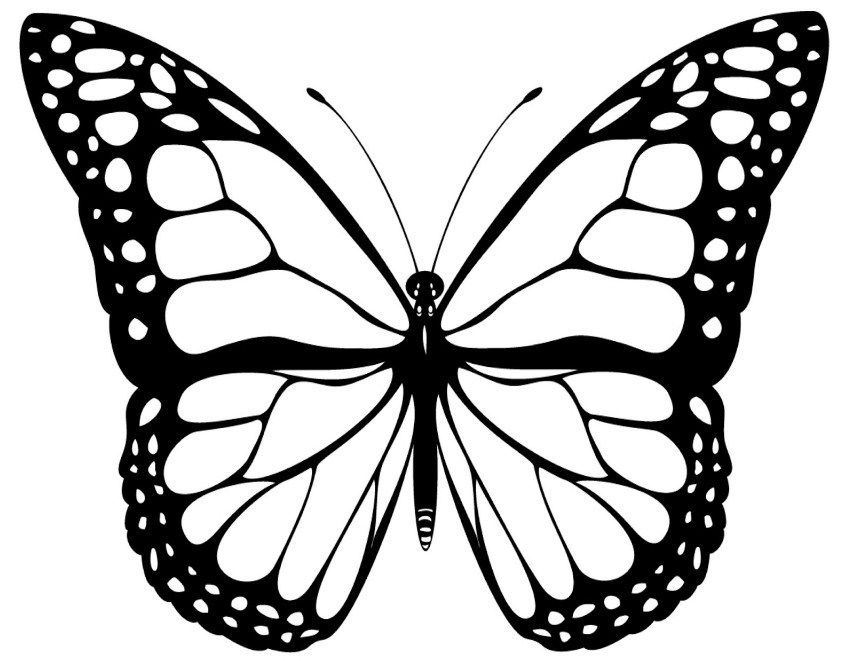Butterfly Black White Png - HD Wallpaper 