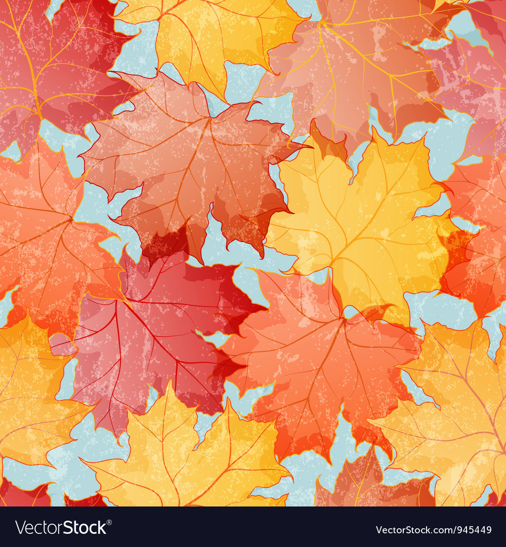 Maple Leaves - HD Wallpaper 