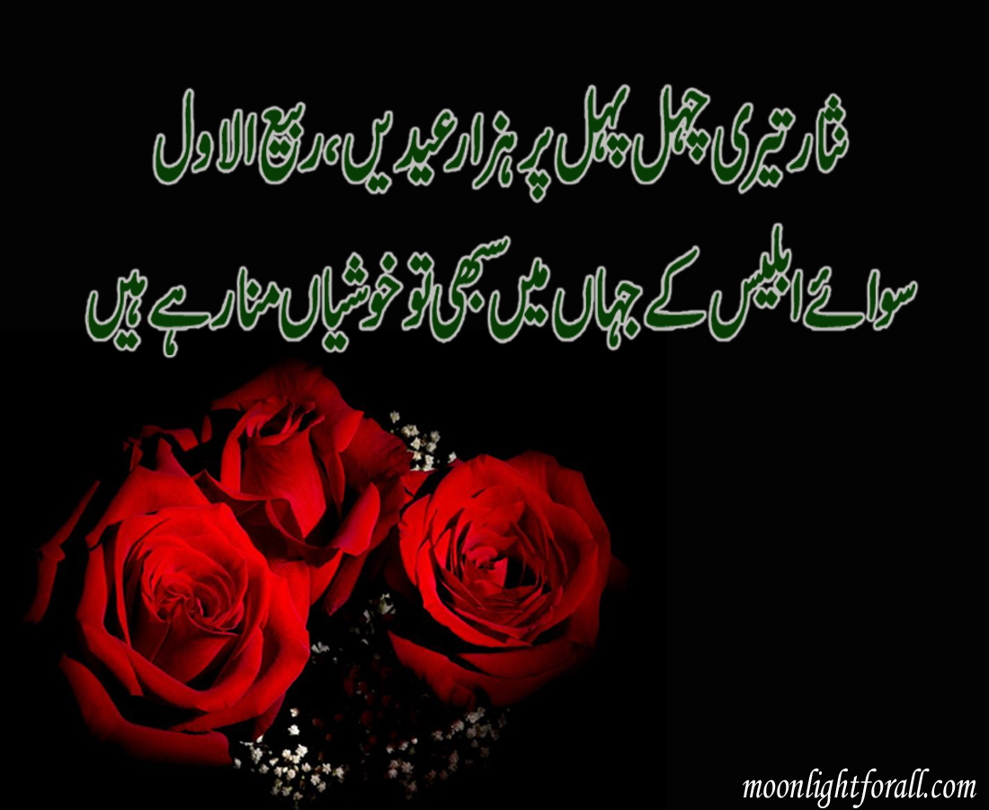 Garden Roses - HD Wallpaper 