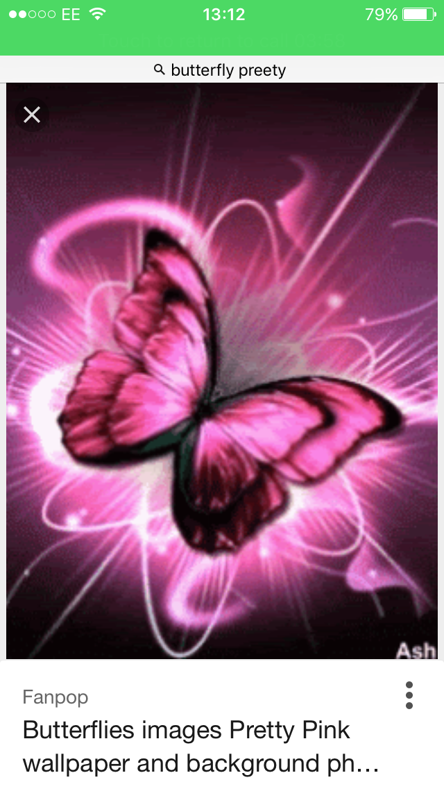 Img 0099 - Cute Blue Butterfly - HD Wallpaper 