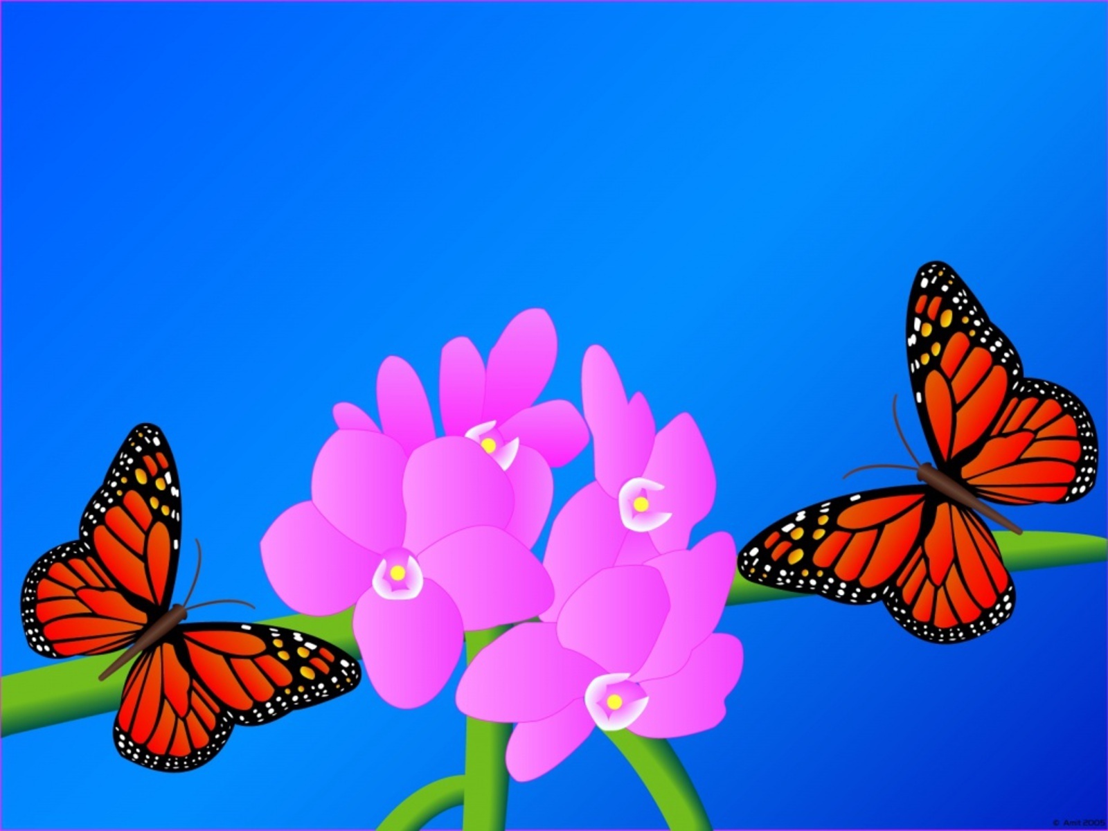 Beautiful Kupu-kupu - Papel De Paredes Lindos Feminina - HD Wallpaper 