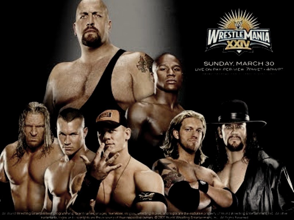 Wrestlemania Xxiv - HD Wallpaper 