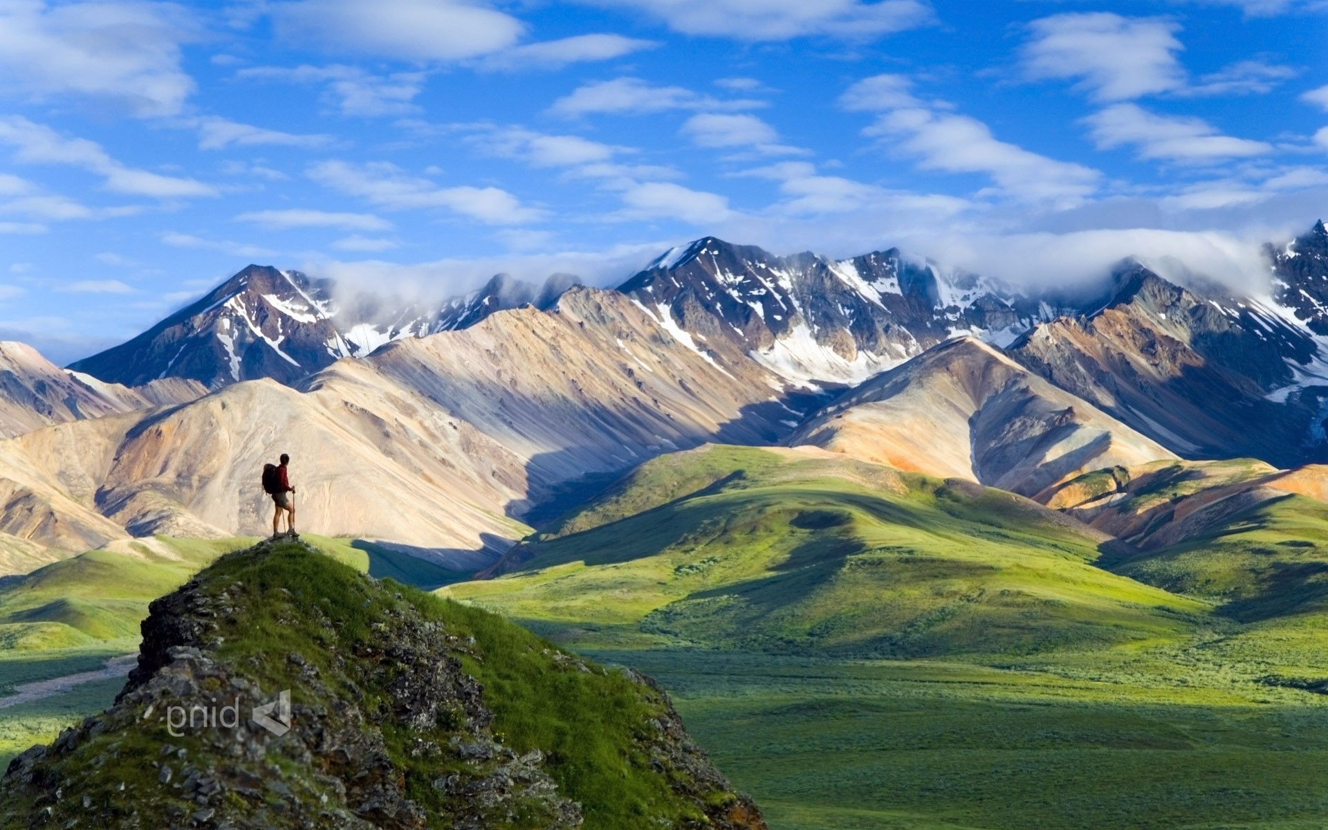 Nature, Landscape, Mountain, Hiking, National Park, - Denali National Park Nature - HD Wallpaper 