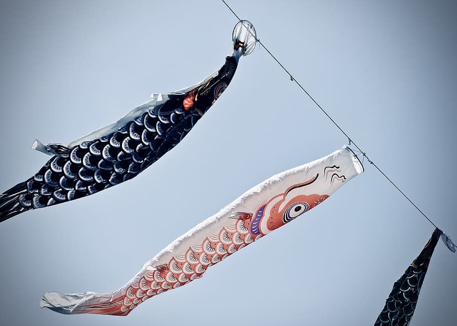 Koinobori, Fish, Japan, Children’s Day, Wind, Flag, - Sardine - HD Wallpaper 