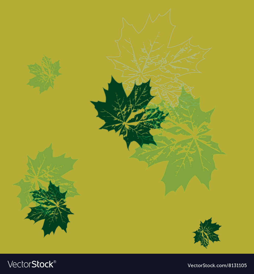 Maple Leaf Wallpaper - HD Wallpaper 