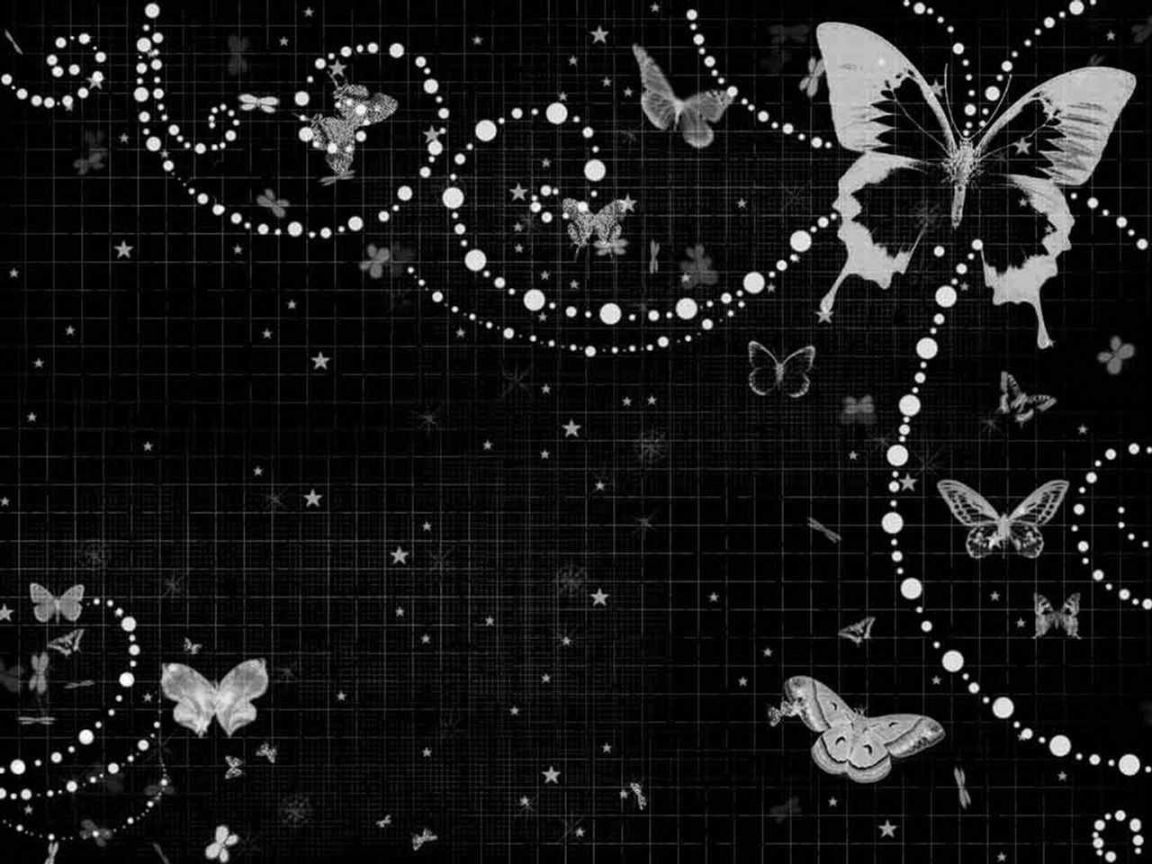 Kupu-kupu - Black Butterfly Background - HD Wallpaper 