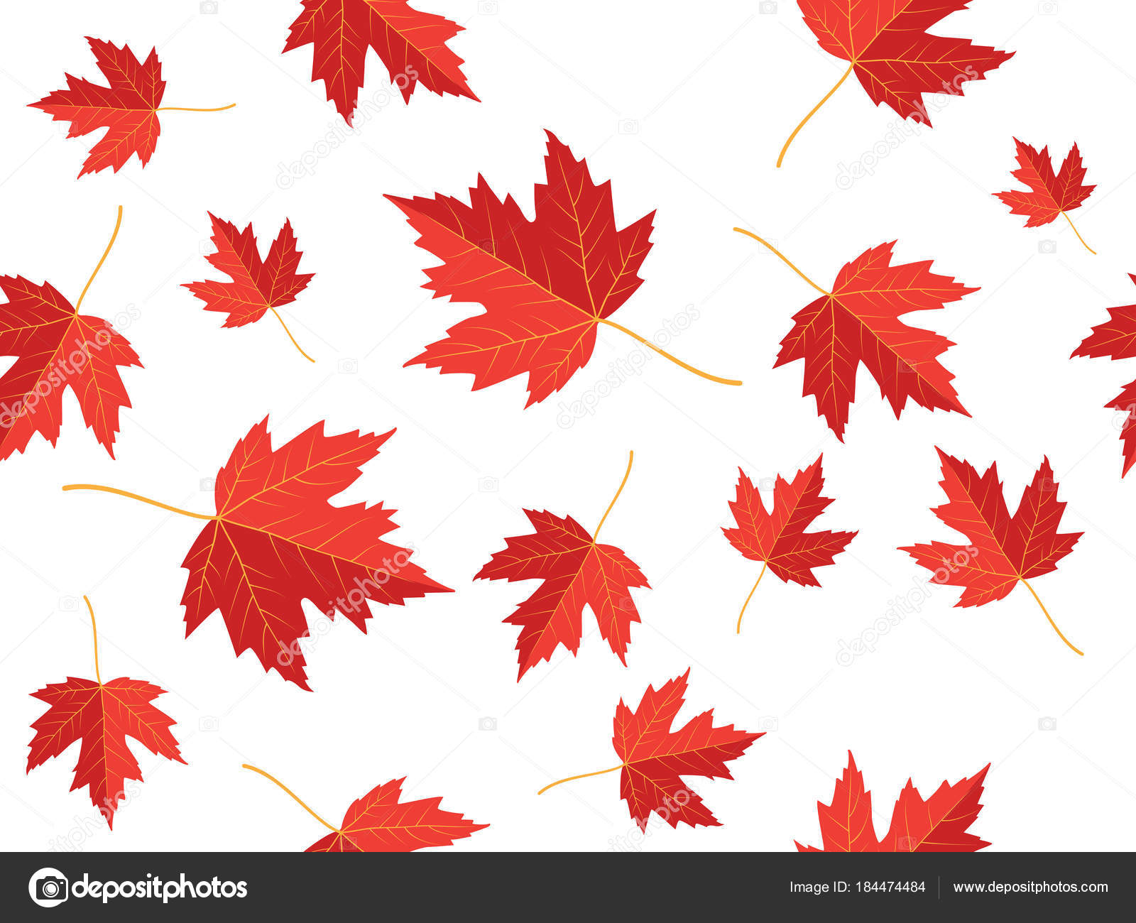 Red Maple Leaf Background - HD Wallpaper 
