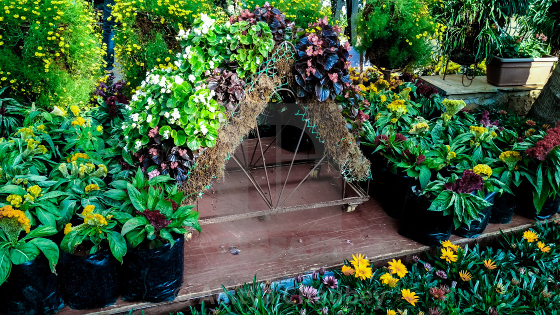 Wallpaper Of Flowers - HD Wallpaper 