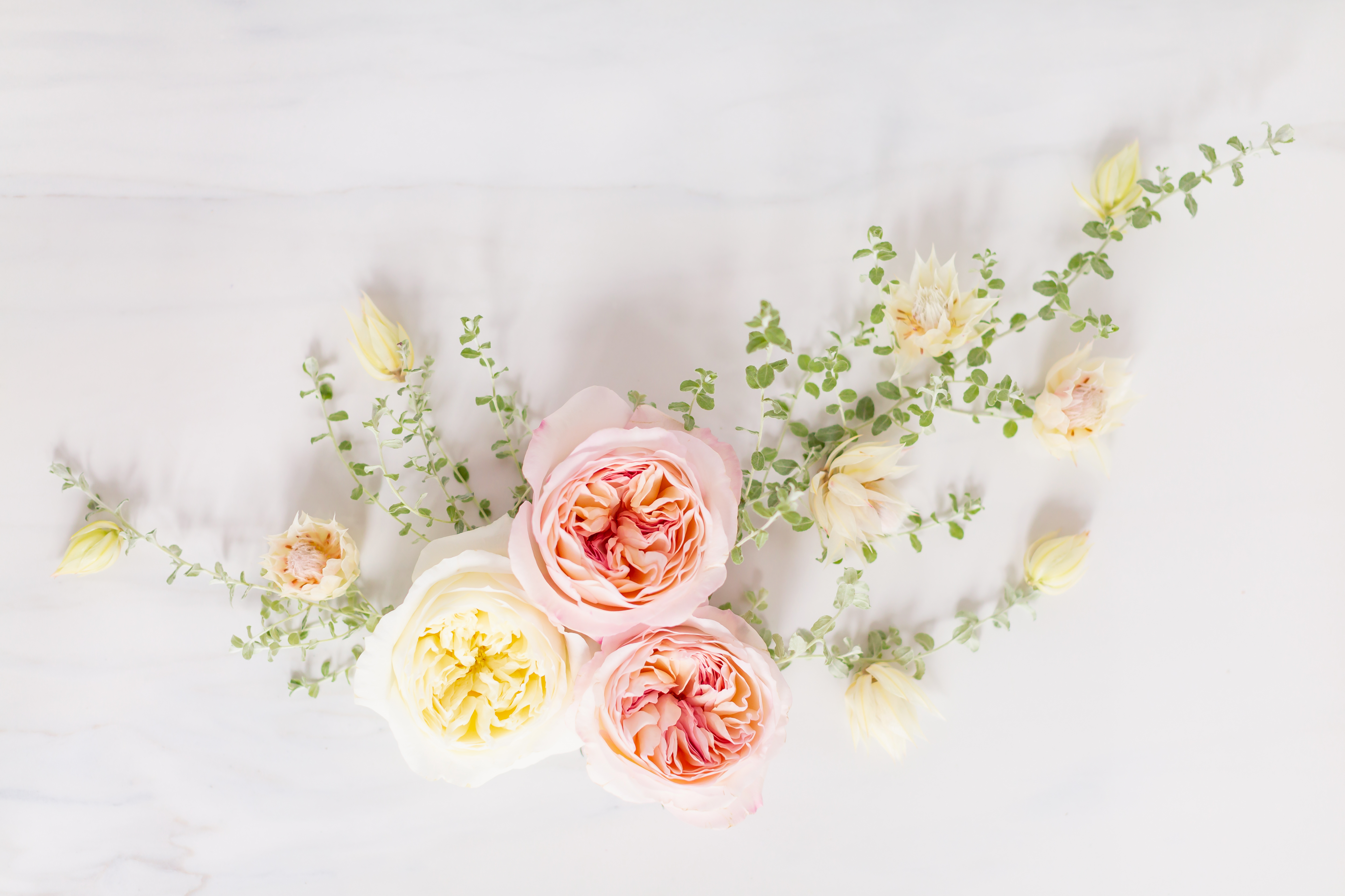 Free Desktop Wallpaper 2019 - HD Wallpaper 