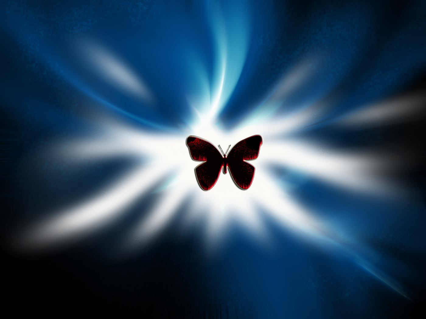 Kupu-kupu Silhouette - Macro Photography - HD Wallpaper 