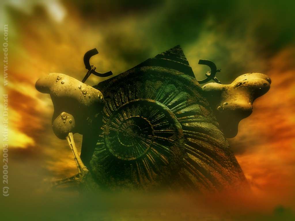 Macro Photography - HD Wallpaper 