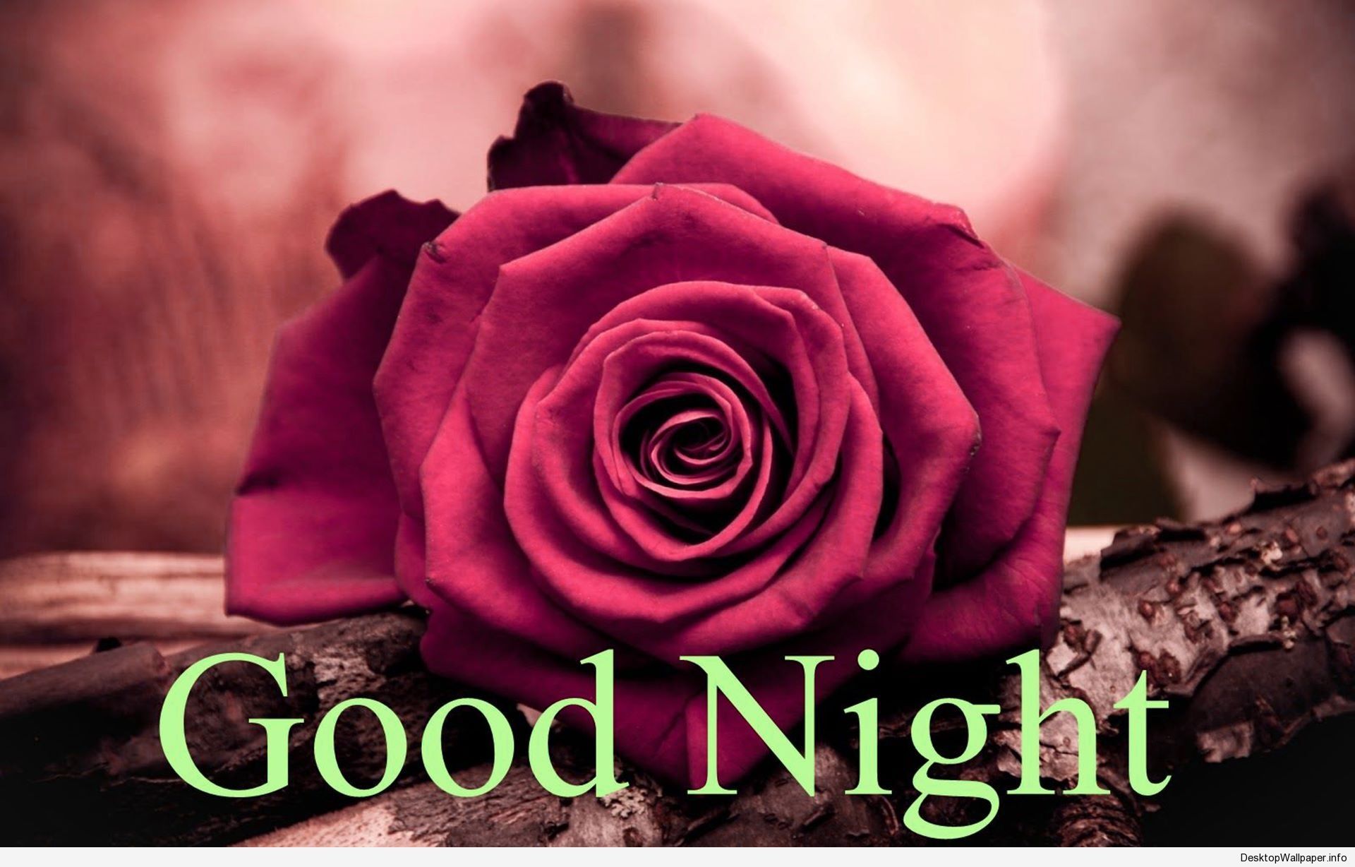 Rose With Good Night - HD Wallpaper 