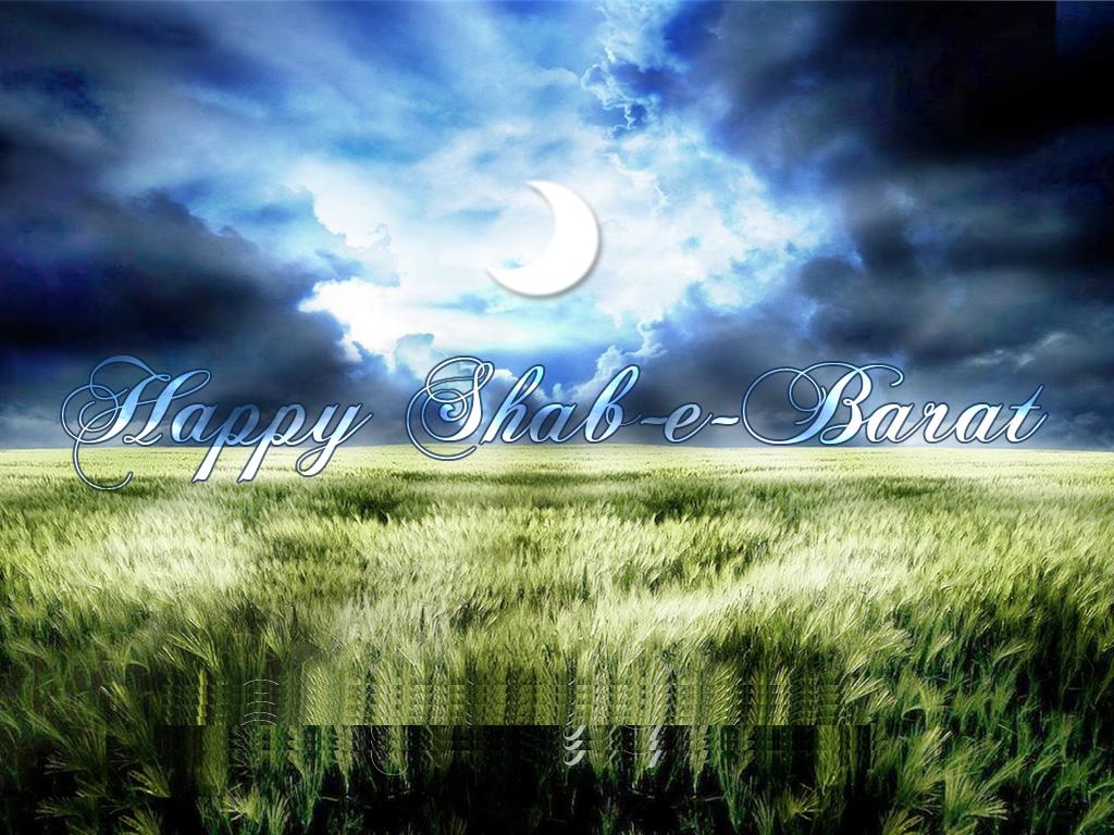 High Resolution Field Background - HD Wallpaper 