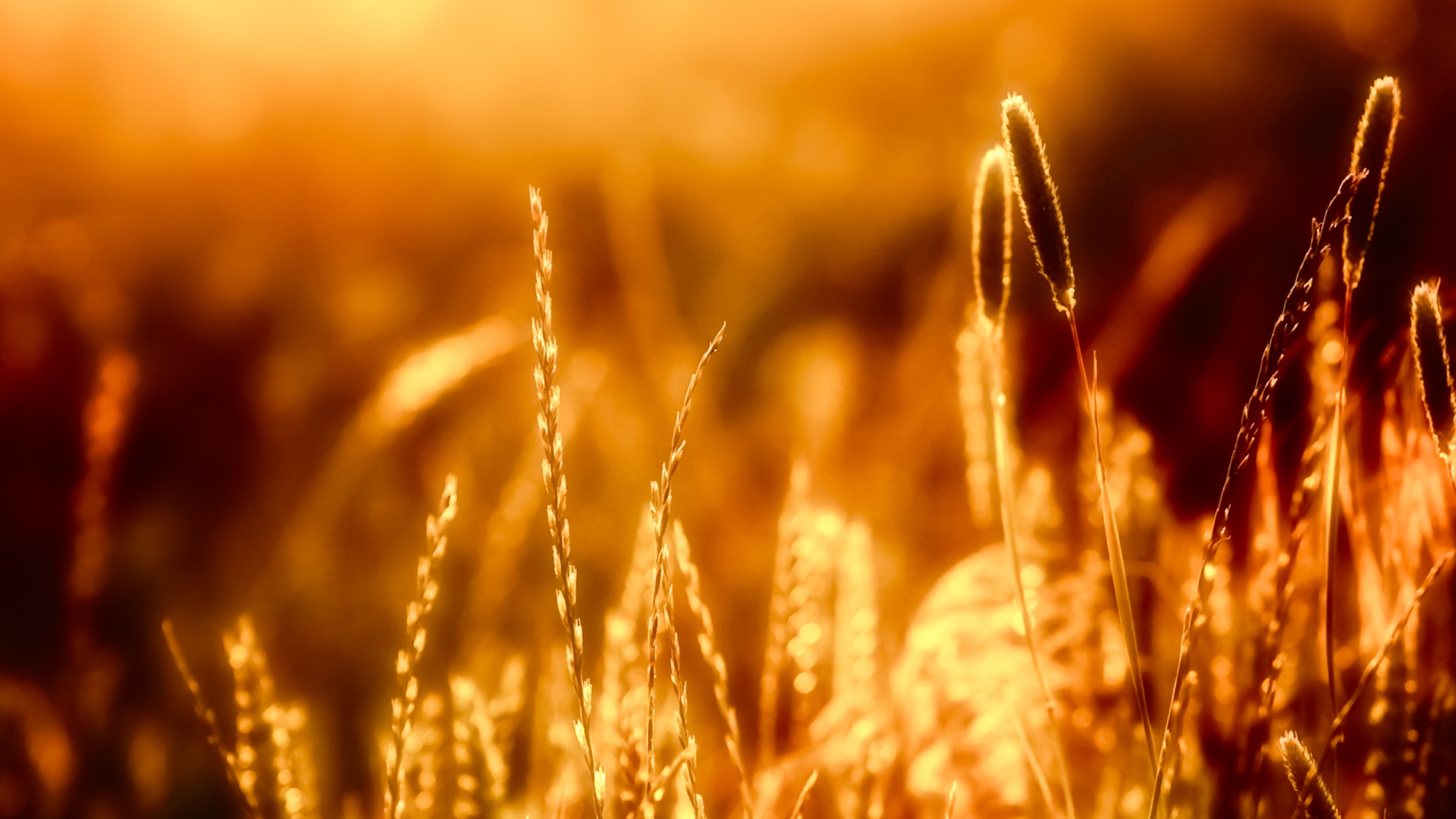 Beautiful Nature Best Photography - HD Wallpaper 